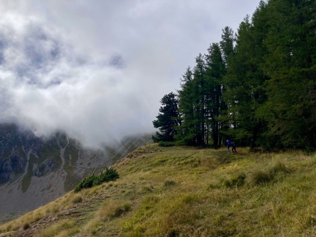 WhatsApp Image 2024-10-10 at 20.44.32