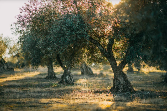 Capture d’écran 2025-01-22 à 22.01.33